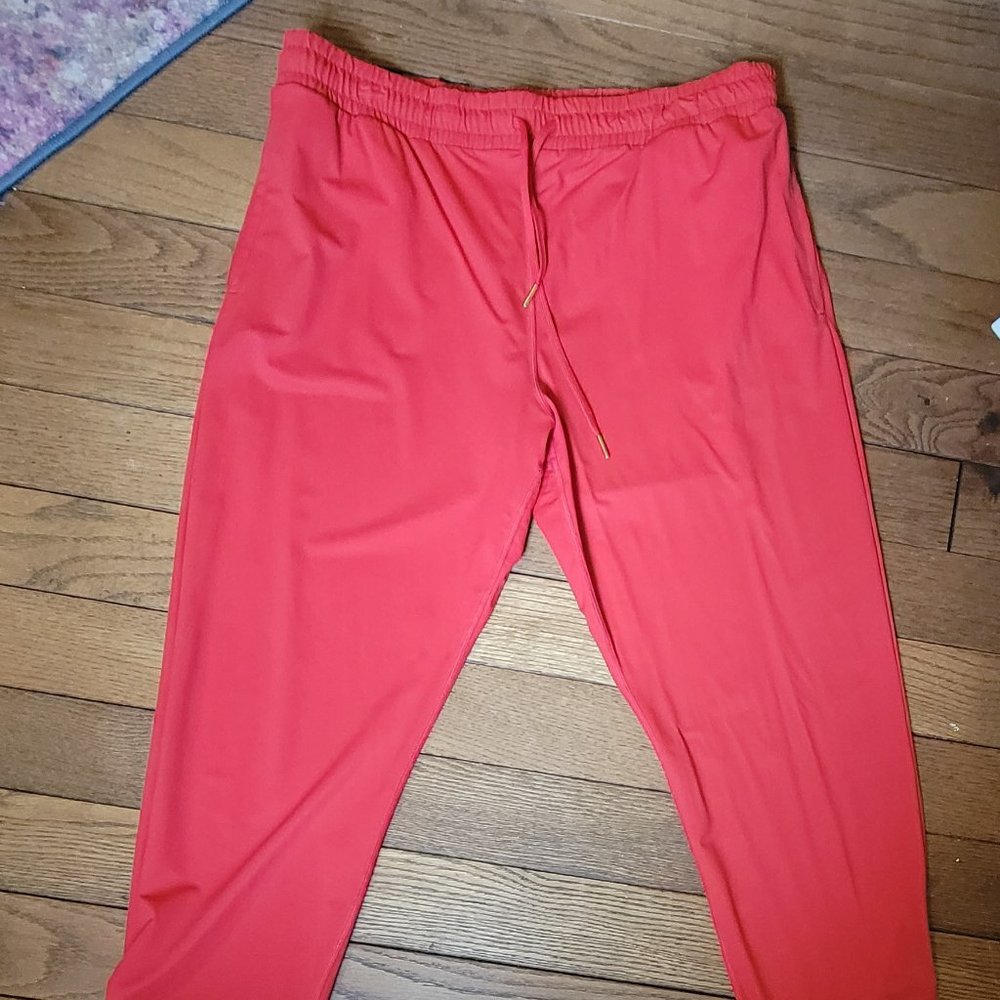 Zyia Everywhere pants